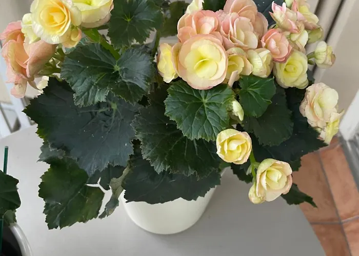 Séjour chez l'habitant Avec Salle De Bain à Partager -